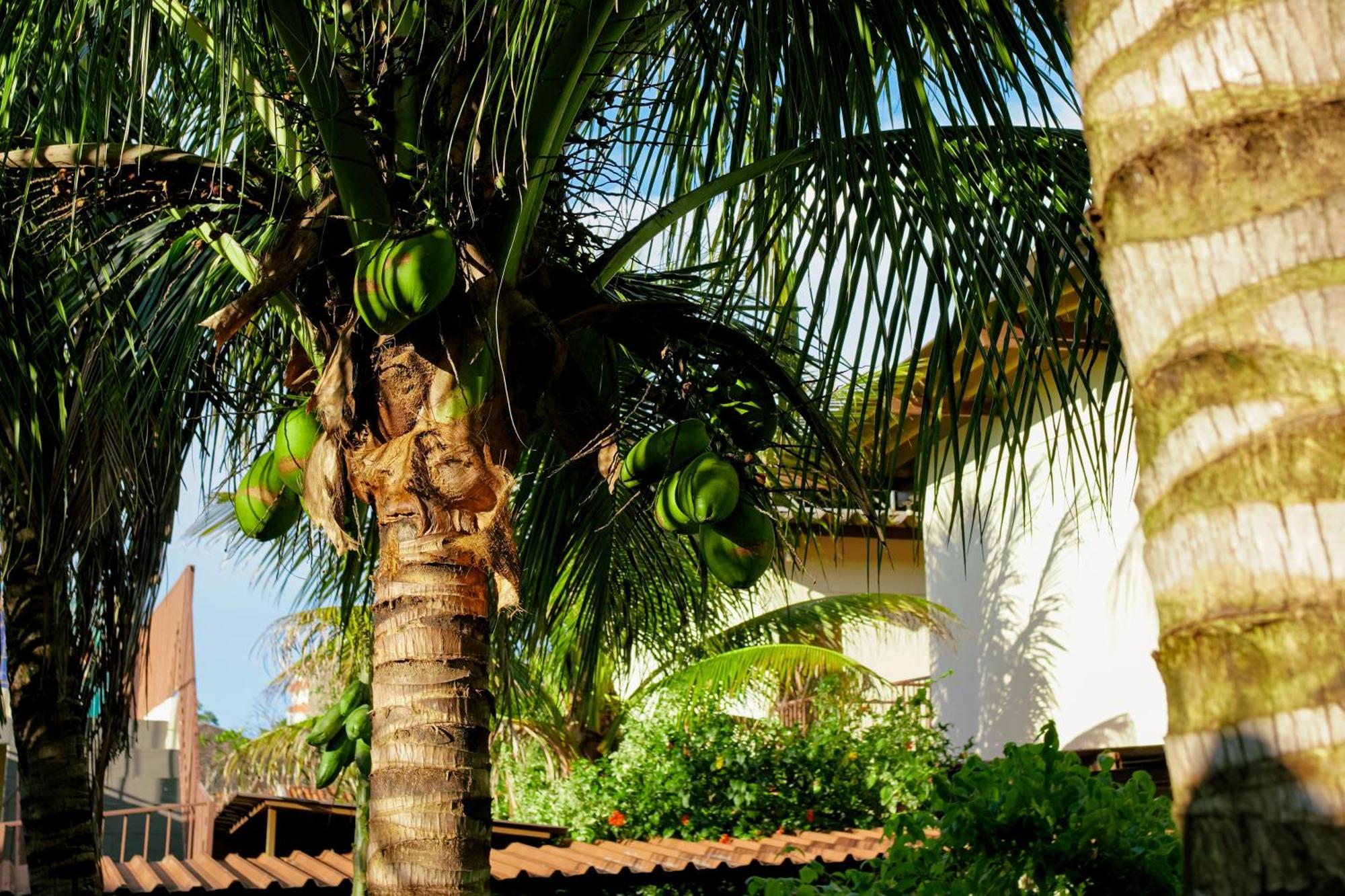 Velinn Hotel Natureza Foz Foz do Iguaçu Exteriör bild