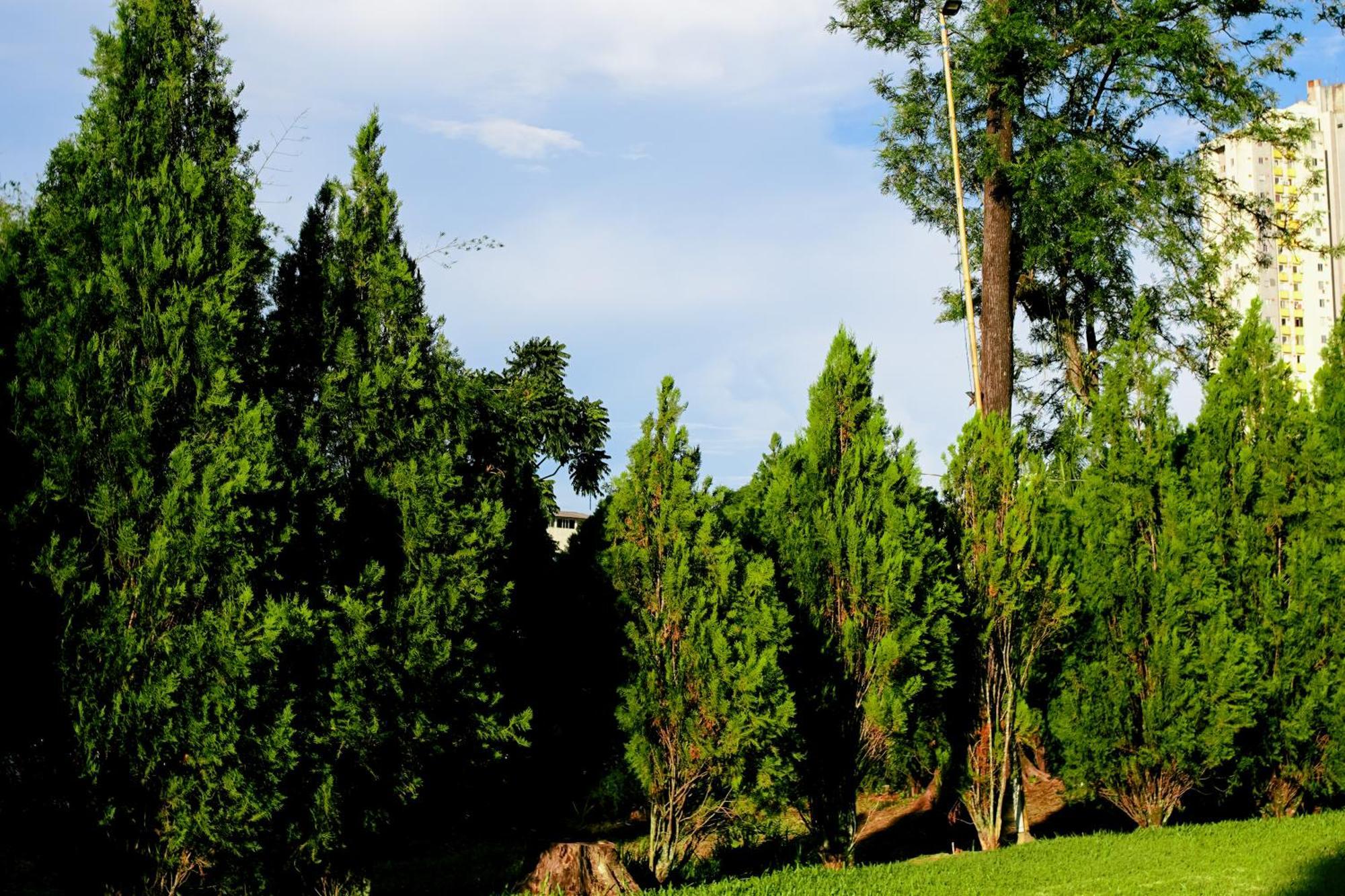 Velinn Hotel Natureza Foz Foz do Iguaçu Exteriör bild